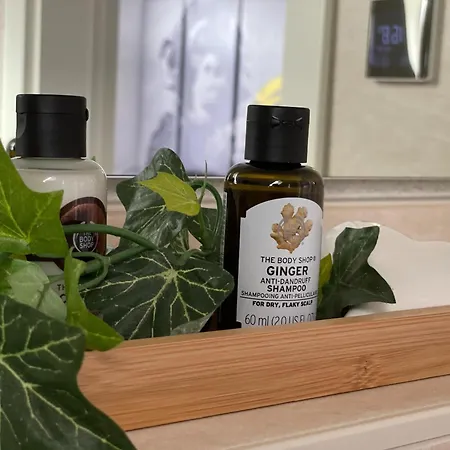 Holiday In With Sauna